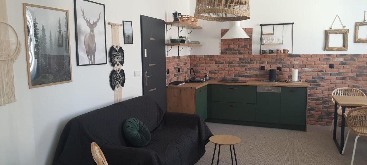 Apartmán Deptak - W Centrum Karpacza, Parking W Cenie!